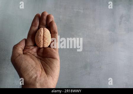 Hand haltendes Miniaturgehirn mit Kopierraum für Text. WeltAlzheimer-Tag und Welttag der psychischen Gesundheit Stockfoto