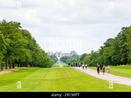 Windsor Castle, Blick vom Long Walk, Windsor Great Park, Berkshire, England Stockfoto