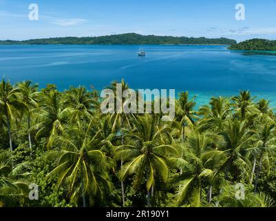 Palmen wachsen auf einer malerischen tropischen Insel vor der Küste von West Papua, Indonesien. Dieser abgelegene Teil Indonesiens ist für seine hohe Artenvielfalt bekannt. Stockfoto