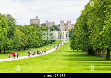 Windsor Castle, Blick vom Long Walk, Windsor Great Park, Berkshire, England Stockfoto