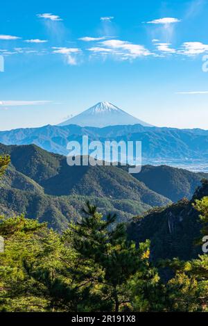 Berg Fuji, Kiefernwälder im Vordergrund, blauer Himmel und weiße Wolken im Hintergrund. Shosenkyo-Beobachtungsstation, Kofu, Präfektur Yamanashi, Japan Stockfoto