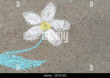 Blumen mit bunten Kreiden auf Asphalt im Freien, Draufsicht. Platz für Text Stockfoto