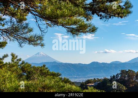 Berg Fuji, Kiefernwälder im Vordergrund, blauer Himmel und weiße Wolken im Hintergrund. Shosenkyo-Beobachtungsstation, Kofu, Präfektur Yamanashi, Japan Stockfoto