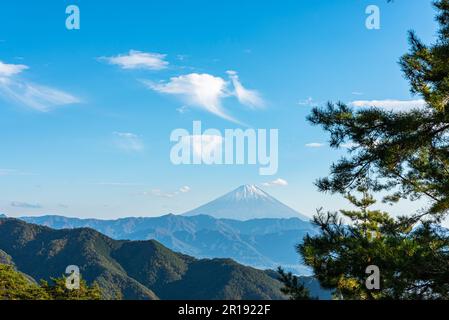 Berg Fuji, Kiefernwälder im Vordergrund, blauer Himmel und weiße Wolken im Hintergrund. Shosenkyo-Beobachtungsstation, Kofu, Präfektur Yamanashi, Japan Stockfoto