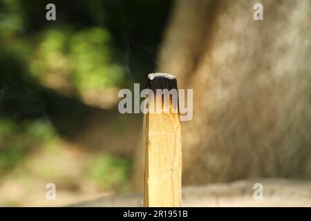 Der schwelende palo santo bleibt draußen, Nahaufnahme Stockfoto