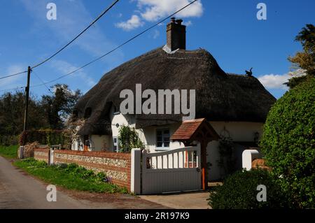 Strohgedeckte Hütte in Tarrant Monkton Village in Dorset, Großbritannien Stockfoto