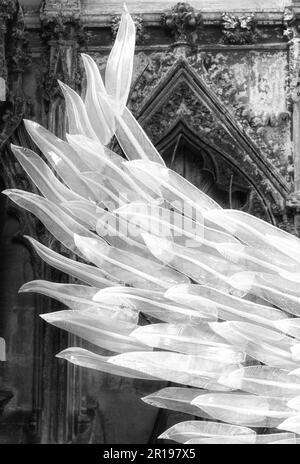 Eine Nahaufnahme der Skulptur aus Glas mit Engelsflügeln von Layne Rowe, ausgestellt in der Ely Cathedral, zum Gedenken an Covid, Cambridgeshire, Stockfoto