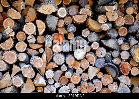 Holzregal, Holzlager. Gehacktes Holz für die Herdheizung. Verschiedene farbige Baumstämme, die in einem Holzschuppen gestapelt sind. Gehackte Holzstämme zur Verwendung in einem Herd. Stockfoto