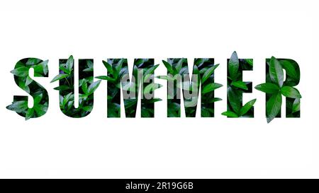 Text Summer aus grünen Blättern Stockfoto