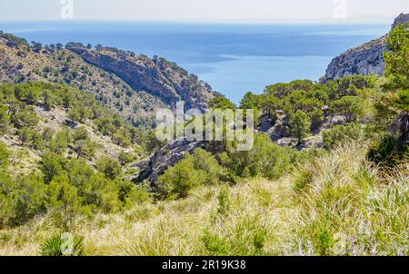 Die zerklüftete Halbinsel Formentor vom Wanderweg zur Na Blanca im Tramuntana-Gebirge Mallorcas, Spanien Stockfoto