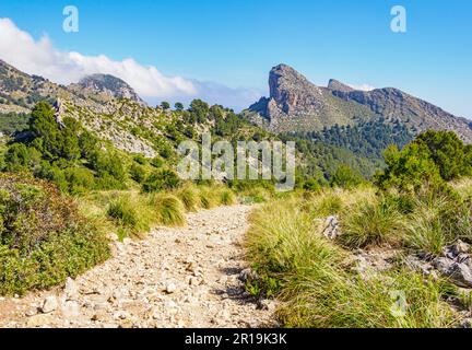 Die zerklüftete Halbinsel Formentor vom Wanderweg zur Na Blanca im Tramuntana-Gebirge Mallorcas, Spanien Stockfoto