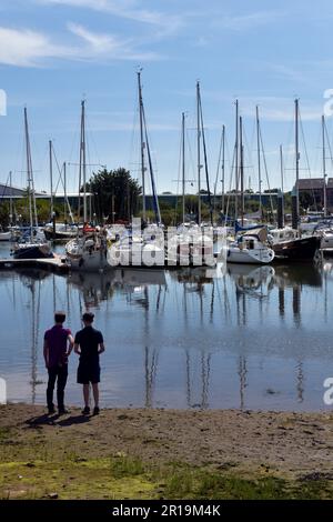 Rückansicht von zwei Jungen, die Segelboote im Yachthafen lowestoft suffolk england anschauen Stockfoto