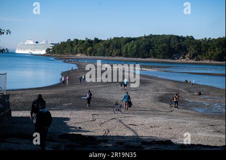 Wanderer gehen bei Ebbe über die Landbrücke nach Bar Island, während ein Nebel in Bar Harbor, ME, am Dienstag, den 27. September 2022 eindringt. Stockfoto