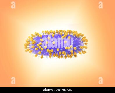 Human Respiratory Syncytial Virus (RSV) Kreatives Layout mit 3D Renderings des Respiratory Syncytial Virus (RSV), ein verbreitetes ansteckendes Virus, das die menschlichen Atemwege infiziert. Kredit: NIAID Stockfoto