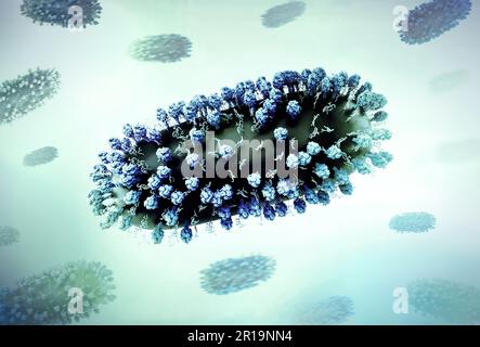 Human Respiratory Syncytial Virus (RSV) Kreatives Layout mit 3D Renderings des Respiratory Syncytial Virus (RSV), ein verbreitetes ansteckendes Virus, das die menschlichen Atemwege infiziert. Kredit: NIAID Stockfoto