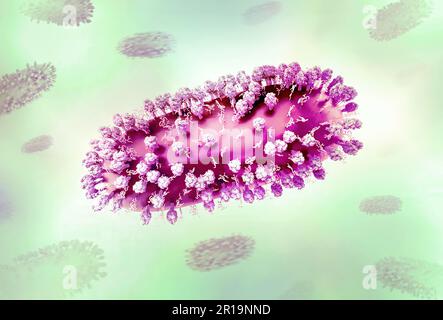 Human Respiratory Syncytial Virus (RSV) Kreatives Layout mit 3D Renderings des Respiratory Syncytial Virus (RSV), ein verbreitetes ansteckendes Virus, das die menschlichen Atemwege infiziert. Kredit: NIAID Stockfoto