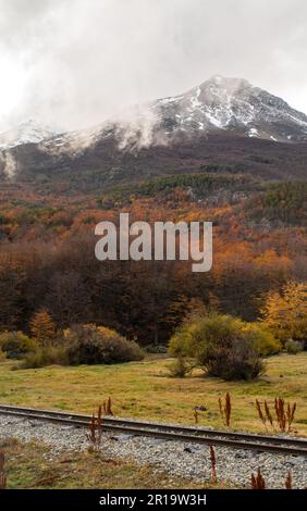 Herbstlandschaft im Nationalpark Tierra del Fuego Stockfoto