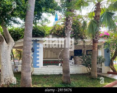 Wunderschöne himmlische Palmen mit grünen, großen Blättern vor dem Hintergrund kleiner Häuser eines Bungalow Hotels in einem warmen östlichen Tropen Stockfoto