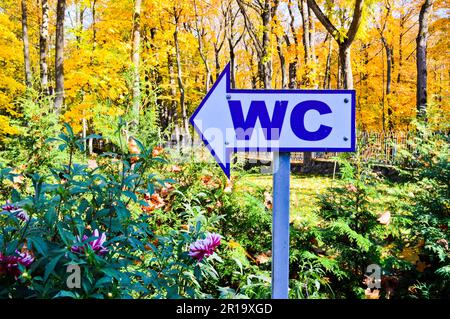 Schöner weißer Pfeil zeigt Richtung Toilette, WC, WC vor dem Hintergrund von natürlichen Pflanzen, Blumen, Bäume mit herbstgelben Blättern Stockfoto