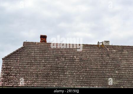 Das alte antike, schräge Dreieckdach des Hauses, das Cottage ist schmutzig mit Stoßzähnen überwuchert mit Moos am blauen Himmel. Stockfoto