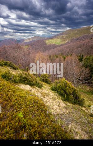 Frühlingslandschaft von Połonina Wetlińska im Bieszczady-Gebirge. Stockfoto