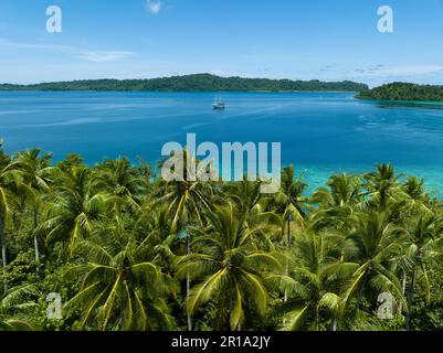 Palmen wachsen auf einer malerischen tropischen Insel vor der Küste von West Papua, Indonesien. Dieser abgelegene Teil Indonesiens ist für seine hohe Artenvielfalt bekannt. Stockfoto