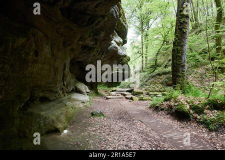 Die Region Müllerthal in Luxemburg ist auch als kleine Schweiz bekannt und ein großartiger Ort zum Wandern und Klettern Stockfoto