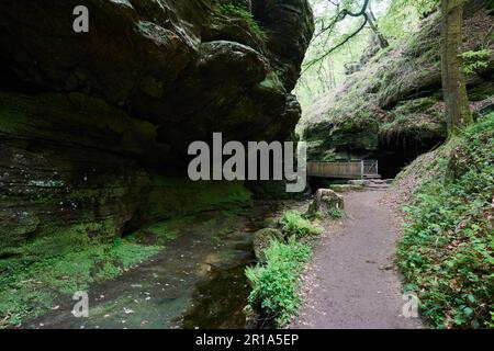 Die Region Müllerthal in Luxemburg ist auch als kleine Schweiz bekannt und ein großartiger Ort zum Wandern und Klettern Stockfoto