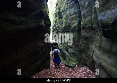 Die Region Müllerthal in Luxemburg ist auch als kleine Schweiz bekannt und ein großartiger Ort zum Wandern und Klettern Stockfoto