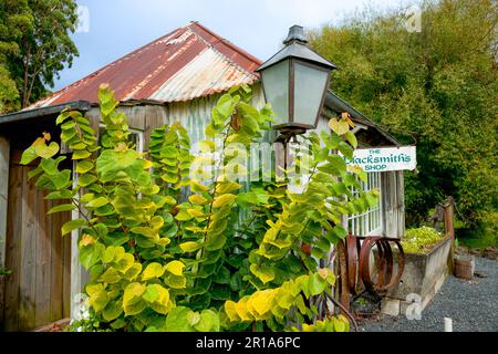 Kerikeri neuseeland - 3 2011. März; alte historische Schmiede und Touristenattraktion mit leichten Renovierungsarbeiten Stockfoto