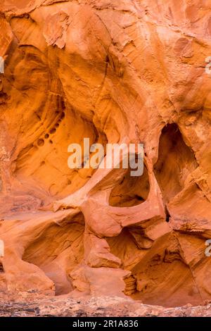 Komplizierte Erosionsmuster, darunter ein Mikrobogen, in der Sandsteinwand des Muley Twist Canyon, Capitol Reef National Park, Utah. Stockfoto