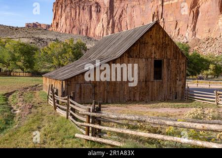 Die historische Scheune von Pendleton in der kleinen Farmergemeinde Fruita befindet sich jetzt im Capitol Reef National Park, Utah. Die Scheune ist über 100 Jahre alt. Stockfoto