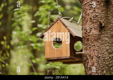Ein hölzerner Vogelfutter, der im Wald an einem Ast hängt. Handgefertigte Vogelfütterung aus Holz. Stockfoto