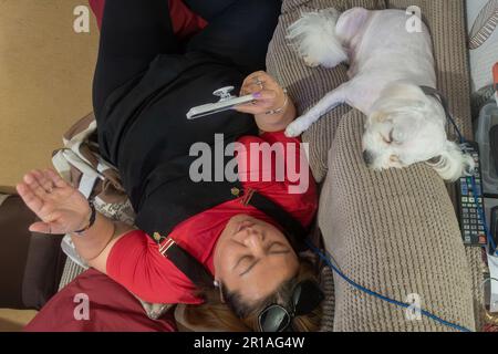 Auf eine Asiatin herabzusehen, die sich auf einem Sofa mit einem kleinen weißen Cavapoo-Hund als Gesellschaft entspannt Stockfoto