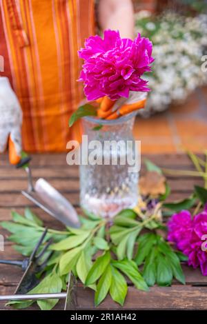 Eine Frau im Garten, die Pfingstrosen in eine Vase mit Wasser legt, um das Haus zu dekorieren Stockfoto