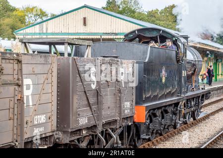 BR 'Q' Klasse 0-6-0 Nr. 30541 führt durch Horsted Keynes mit der Bluebell Railway Stockfoto