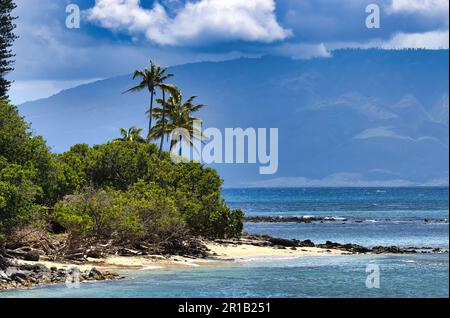 Abgeschiedener Strand mit Palmen und Molokai in der Ferne. Stockfoto