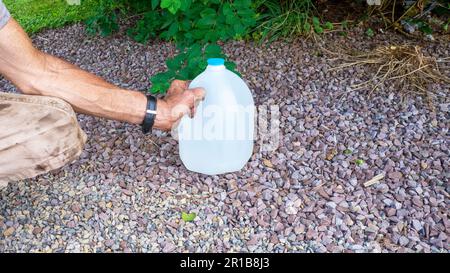 Eine Person, die den Griff eines 1-Liter-Wasserbehälters hält Stockfoto