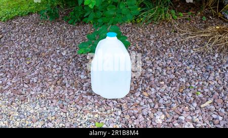 Ein 1-Liter-Plastikbehälter, gefüllt mit Wasser Stockfoto