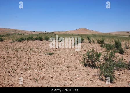 Wüstenlandschaft in Marokko Stockfoto