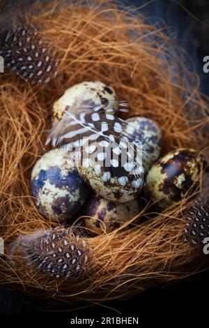 Osterstill-Leben mit Wachteleiern im Nest Stockfoto