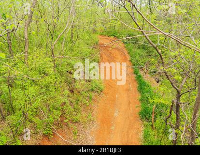 Bedeckter Blick auf den Buffalo Bayou Park in Oklahoma Stockfoto