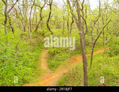 Bedeckter Blick auf den Buffalo Bayou Park in Oklahoma Stockfoto