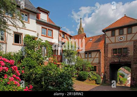 Stadttor von Dilsberg, Bezirk Neckargemuend von Dilsberg, Rhein-Neckar, Baden-Württemberg, Neckargemuend, Deutschland Stockfoto