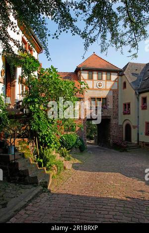 Stadttor von Dilsberg, Bezirk Neckargemuend von Dilsberg, Rhein-Neckar, Baden-Württemberg, Neckargemuend, Deutschland Stockfoto