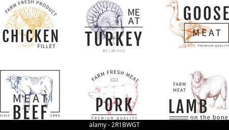 Logo für Kuhfleisch. Schweinefleisch, Schweinefleisch oder Hühnchen farbenfrohe Zeichnung im Skizzenstil, Emblem für die Schlachtung von Schaf- oder Geflügelfleisch, Etikett für Rinder. Logo und p Stock Vektor