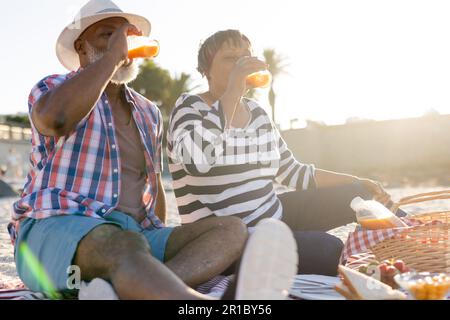 Glückliches Senior-afroamerikanisches Paar, das ein Picknick und Saft am Strand trank Stockfoto