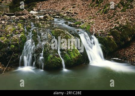 Schöner Bergbach über den Felsen in den Borzesti-Schluchten, Rumänien Stockfoto