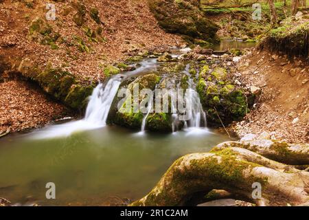 Wasserfall im Frühling, Langzeitbelichtung in Siebenbürgen, Borzesti-Schluchten, Apuseni-Gebirge Stockfoto