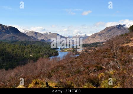 Blick auf die Glen Affric in den Highlands von Schottland Stockfoto